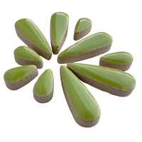 Druppels Kiwi