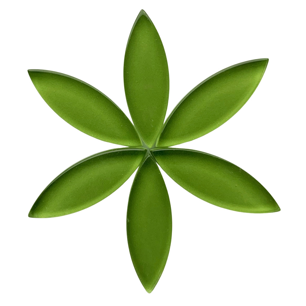 Pétale Moyen Citron Vert