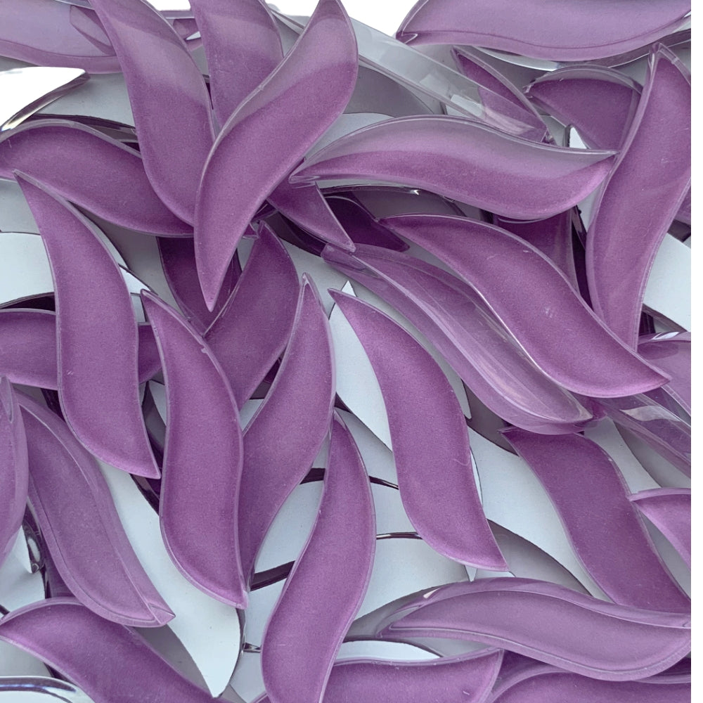 Gewellte Blütenblätter Orchidee