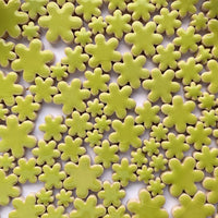 Charms Bloemen Kiwi