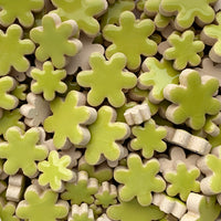 Charms Bloemen Kiwi