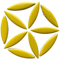 Ellips Citroen