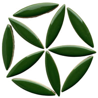 Ellips Eucalyptus