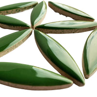 Ellips Eucalyptus
