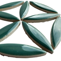 Ellips Phetalogroen