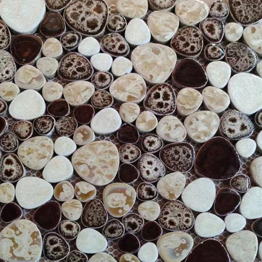 Guijarros Champiñón