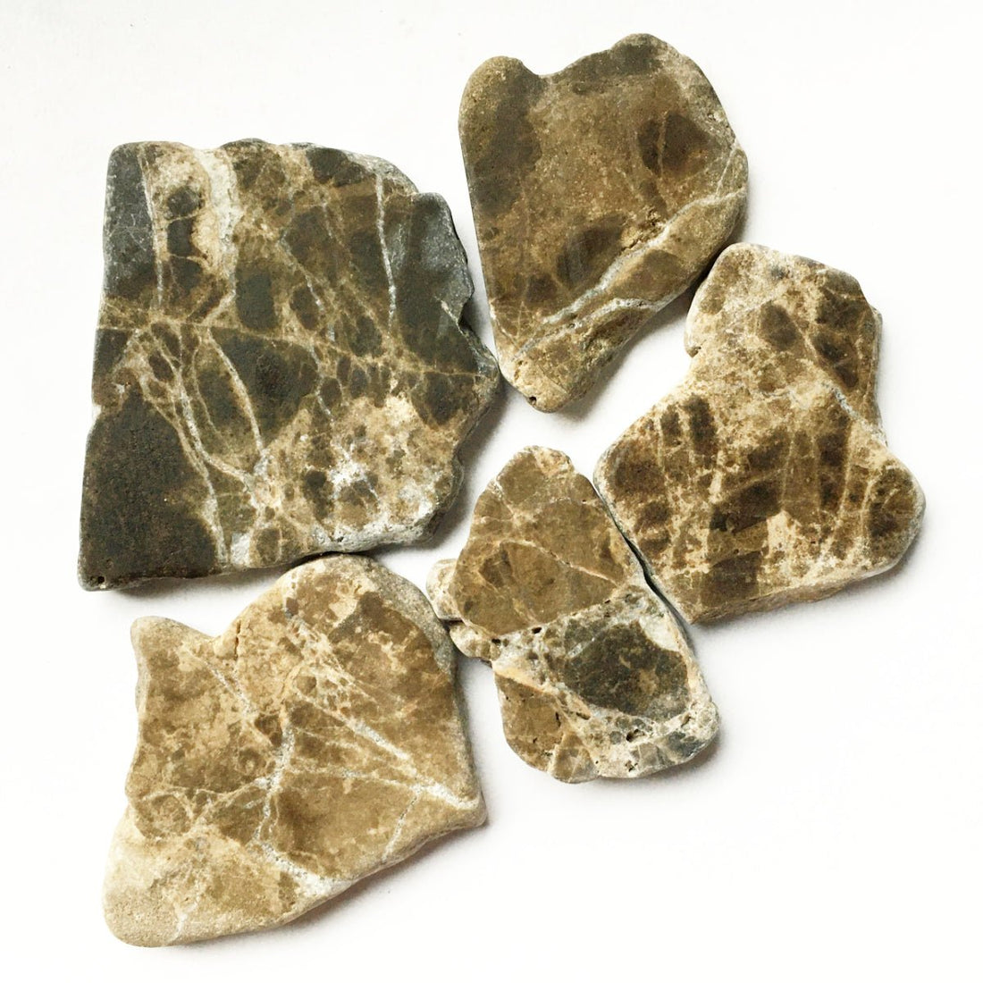 Verre Mosaique - glass mosaic -Glasmosaik-glasmozaïek-Marmer Polygoon Emperador - mosaicshop