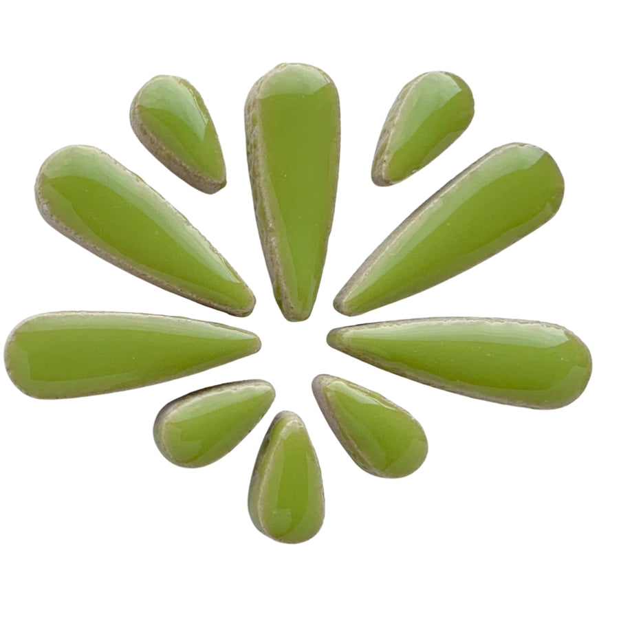 Druppels Kiwi
