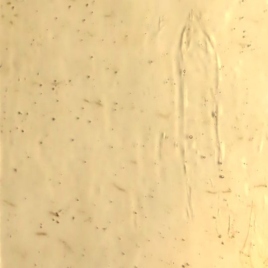 Glasplaat Champagne Antiek Glas