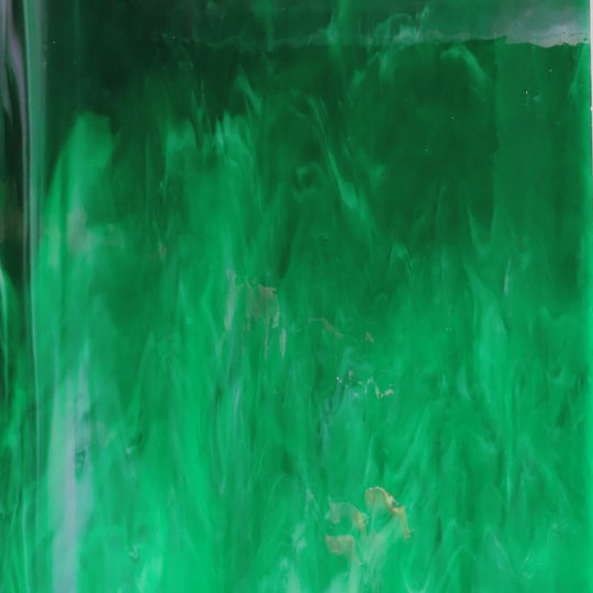 Plaque de Verre Fougère Vaporeux