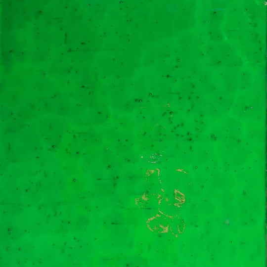 Lastra di vetro Verde Foglia