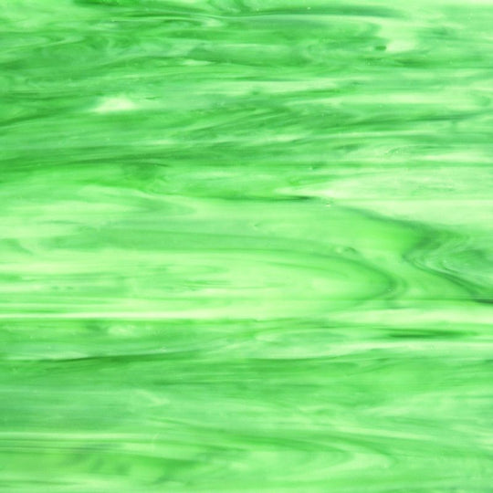 Placa de Vidrio Saltamontes