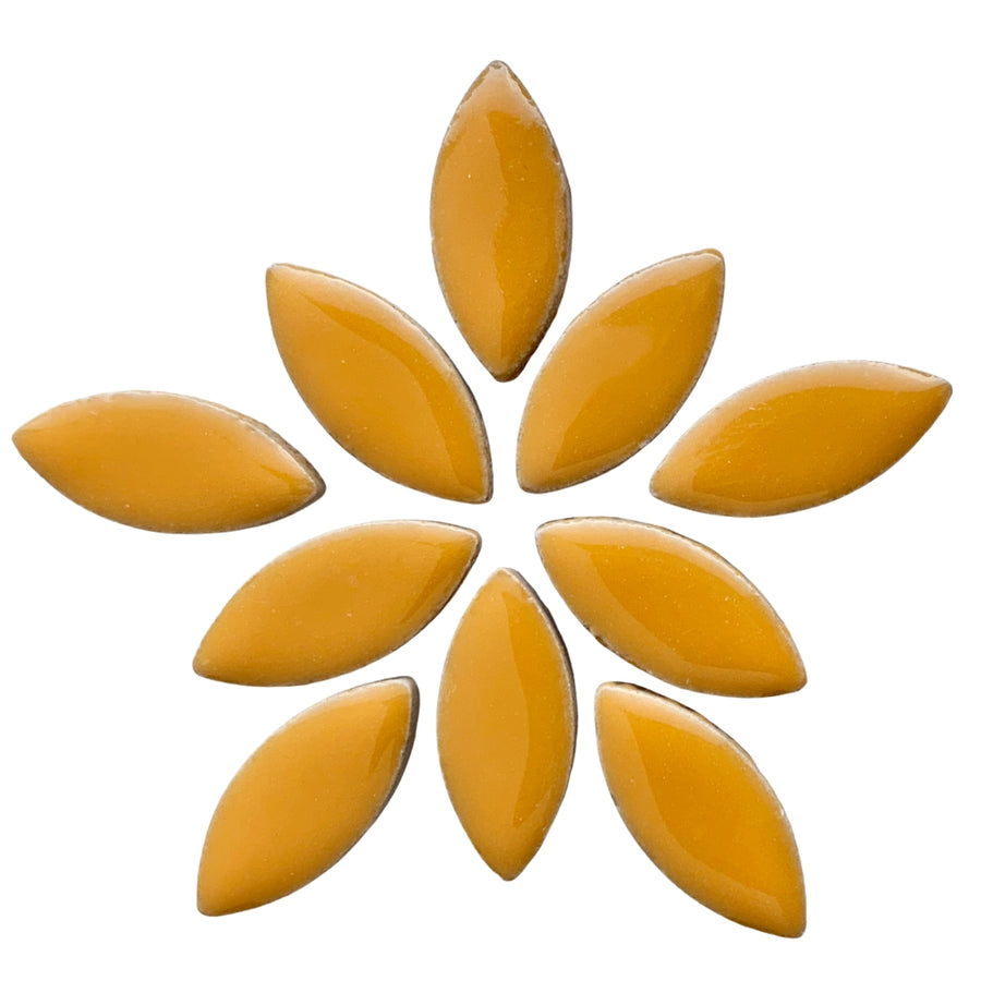Petali 25mm Curry