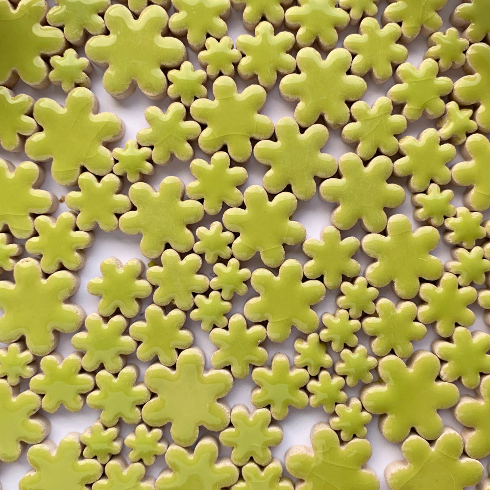 Ciondoli Fiori Kiwi