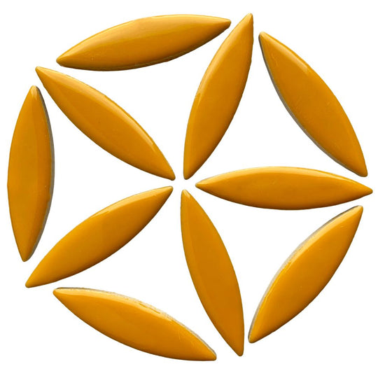 Ellipse de Céramique  Curry