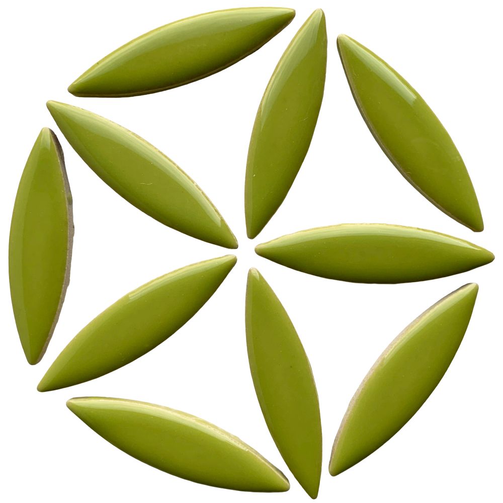 Ellips Kiwi
