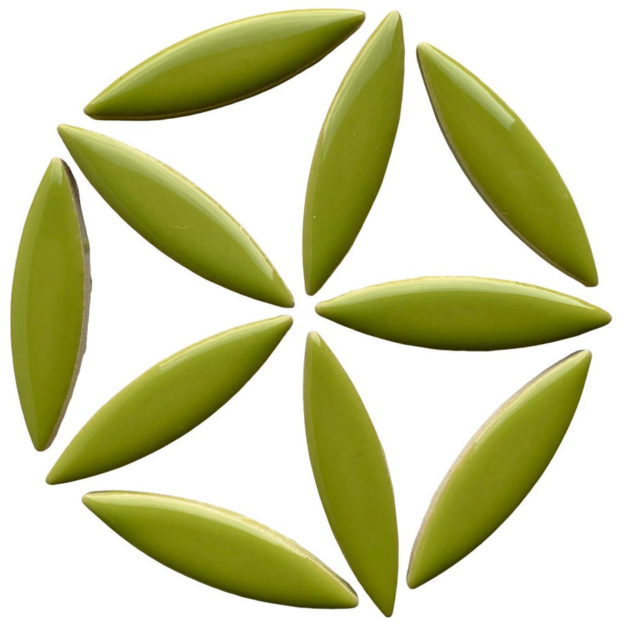 Ellips Kiwi