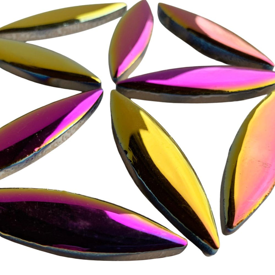 Ellips Disco