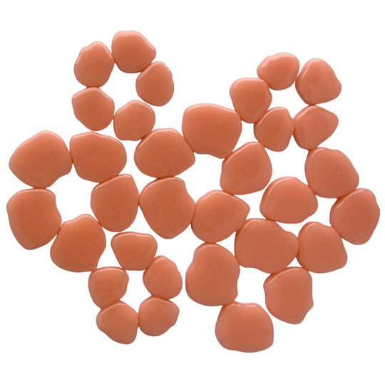 Sakura Bloesem Abrikoos