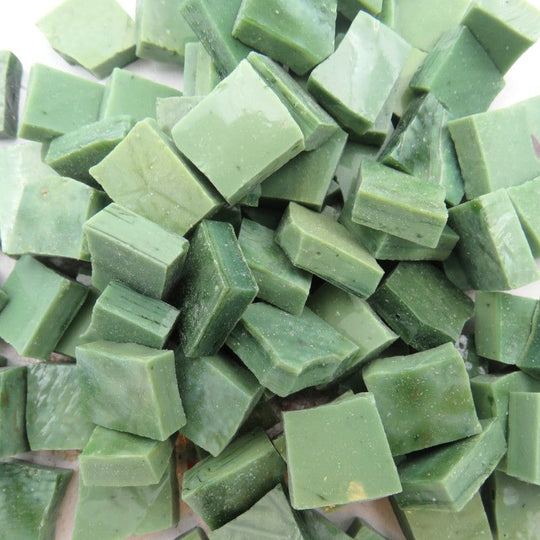 Perdomo Smalten Moos#1