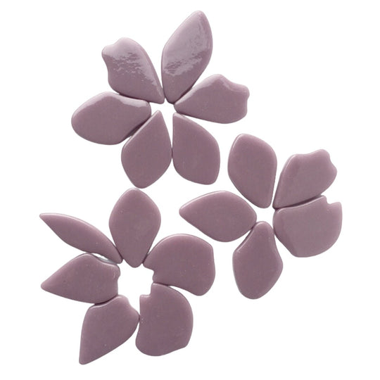 Bloemblaadjes Glas Lila