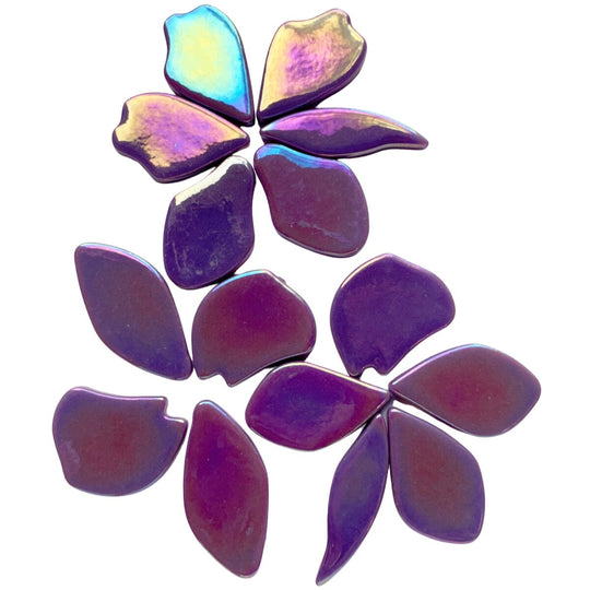 Pétales  Nacrées Magenta