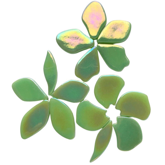 Pétales  Nacrées Menthe