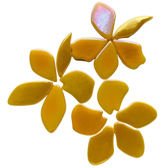 Pétales  Nacrées Jaune Foncé