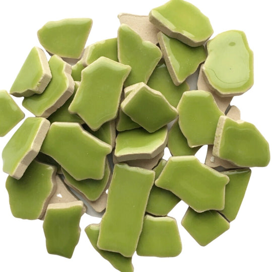 Ceramic Puzzles  Kiwi