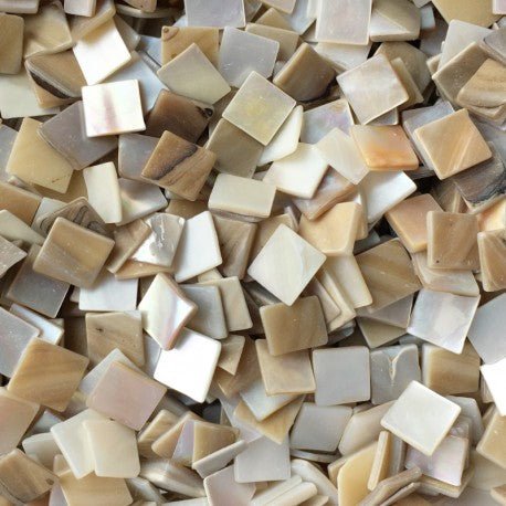 Concha de Nácar 10mm