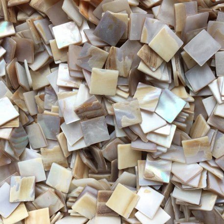 Concha de Nácar 15mm