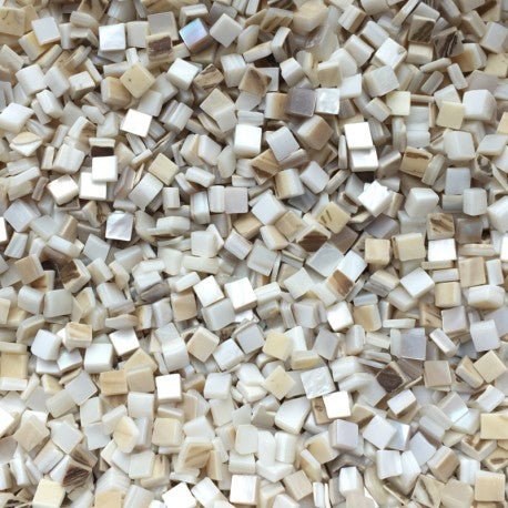 Concha de Nácar 5mm