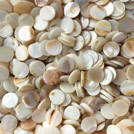 Concha de Nácar Redonda 10mm
